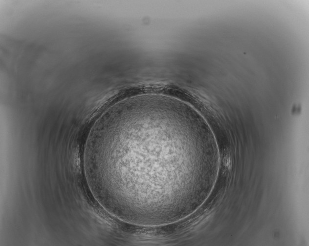 X0000090771252200707271520