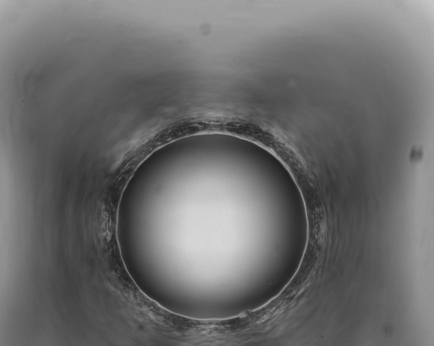 X0000090771253200707271520