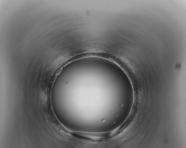 X0000090771257200707271520