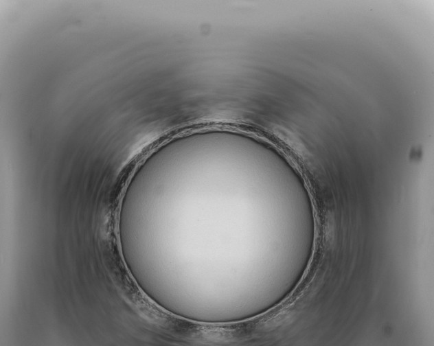 X0000090771258200707271520