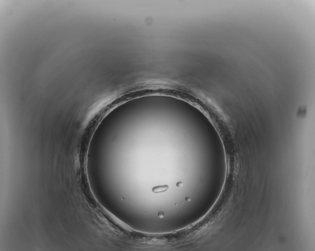 X0000090771261200707271520