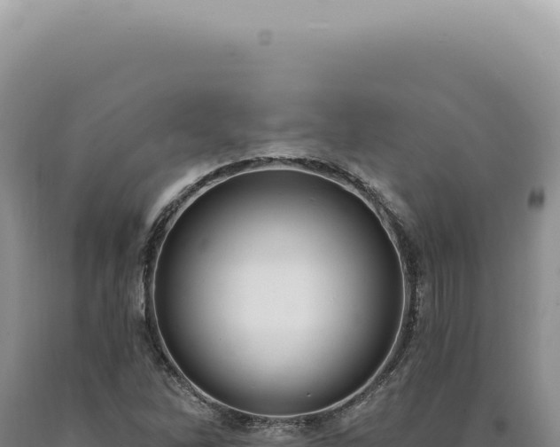 X0000090771262200707271520