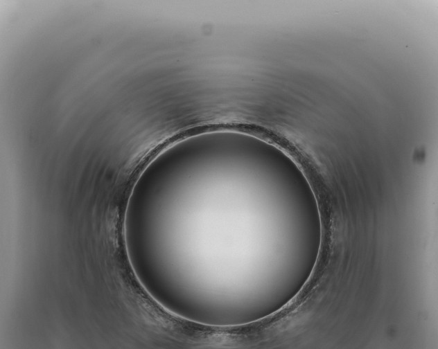 X0000090771265200707271520