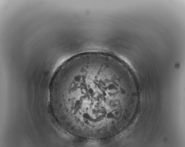 X0000090771267200707271520