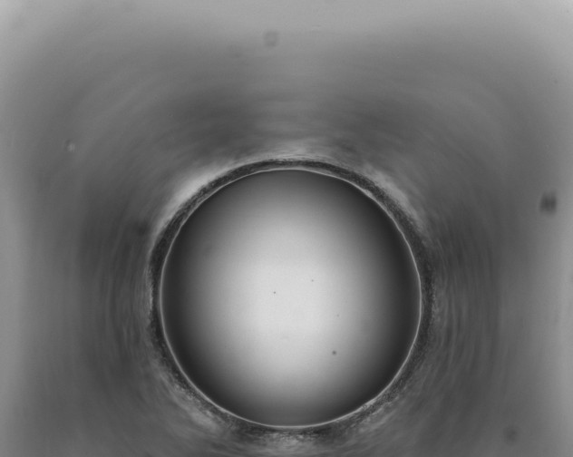 X0000090771270200707271519
