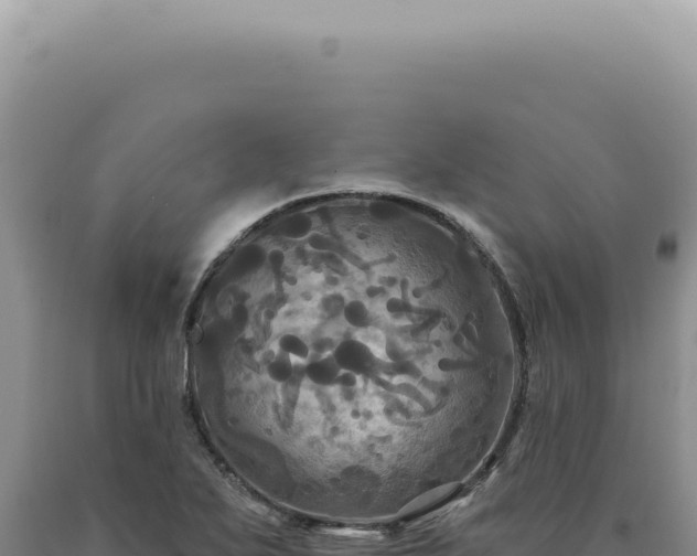 X0000090771271200707271519