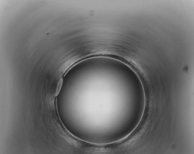 X0000090771273200707271519