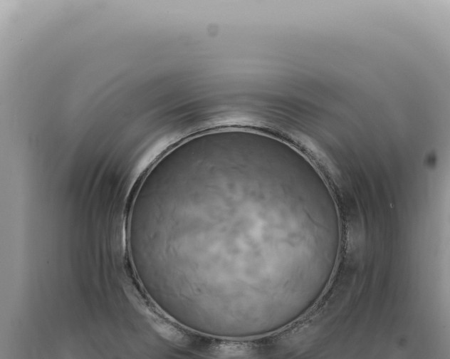 X0000090771274200707271519