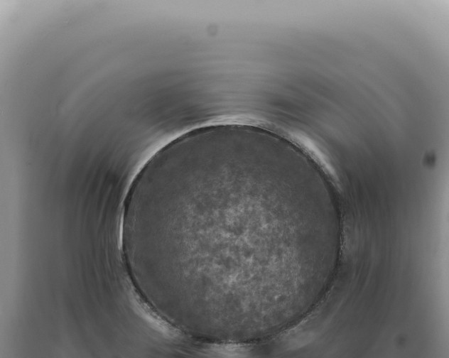 X0000090771276200707271519