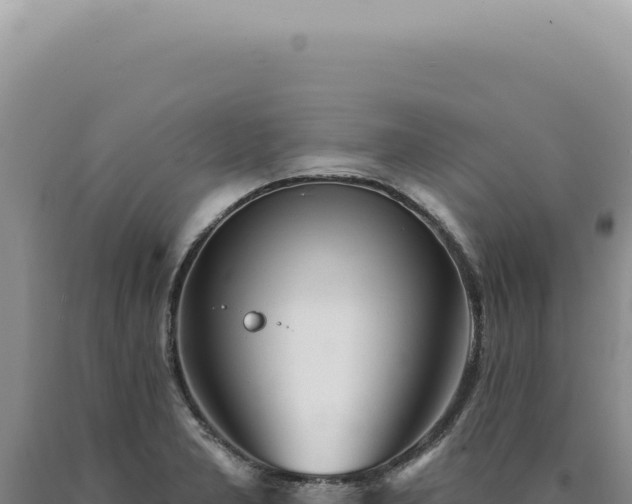 X0000090771277200707271519