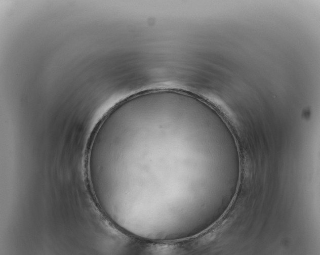 X0000090771278200707271519
