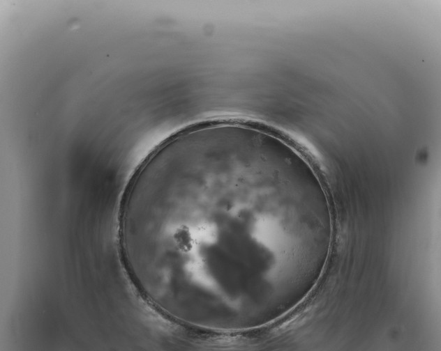 X0000090771279200707271519