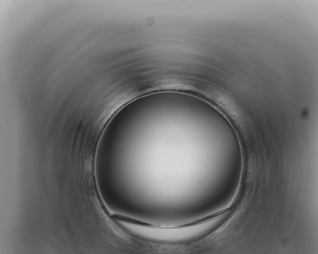 X0000090771281200707271519