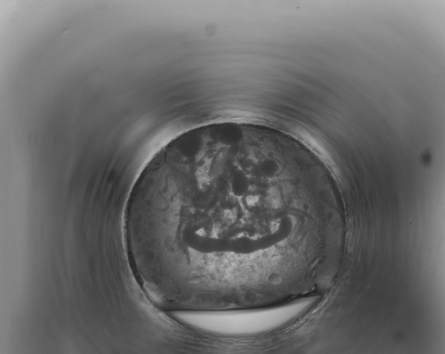 X0000090771283200707271519