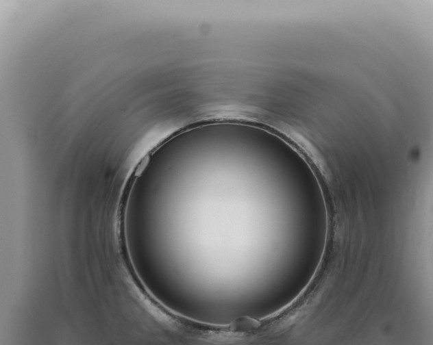 X0000090771285200707271519