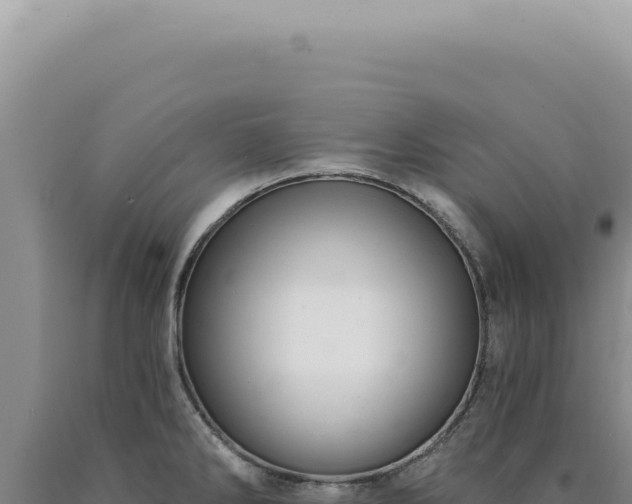 X0000090771286200707271519