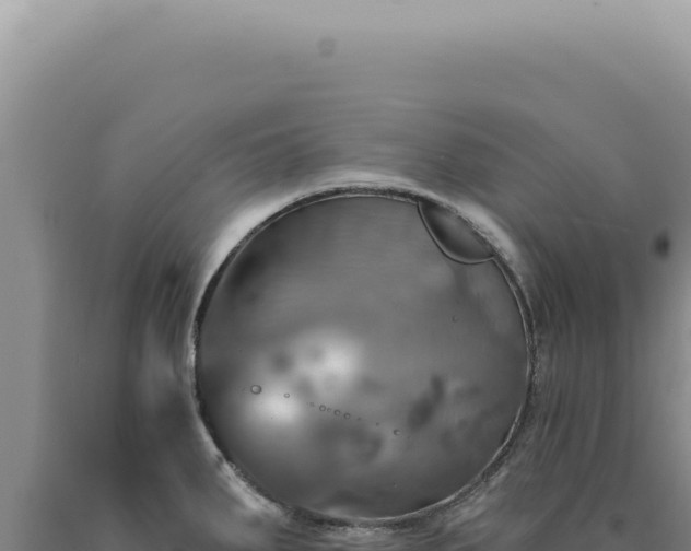 X0000090771287200707271519