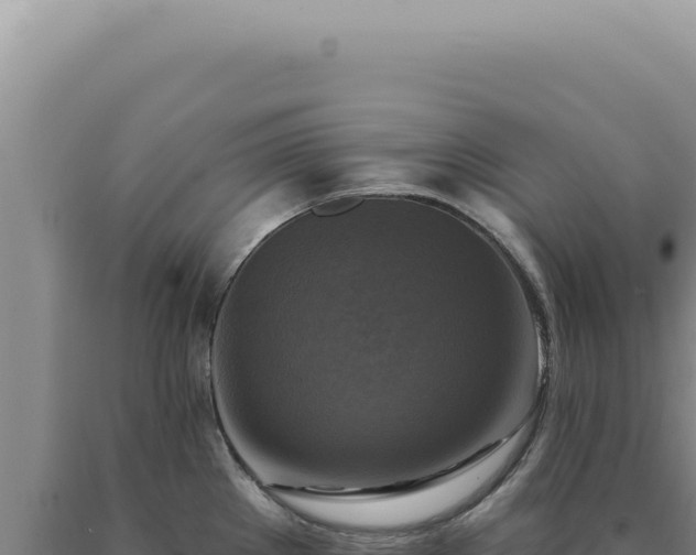 X0000090771289200707271519