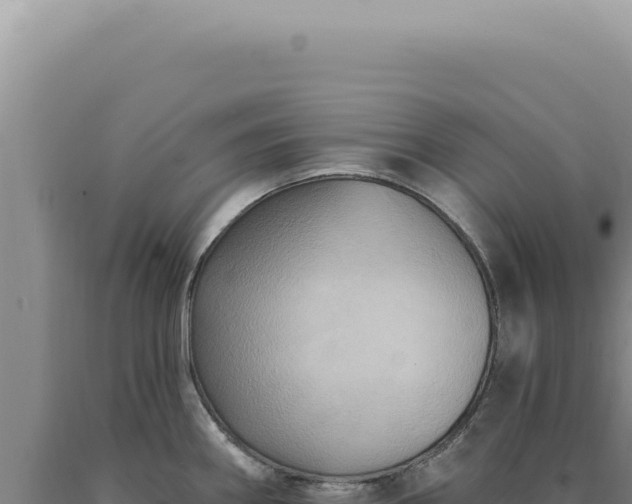 X0000090771290200707271519