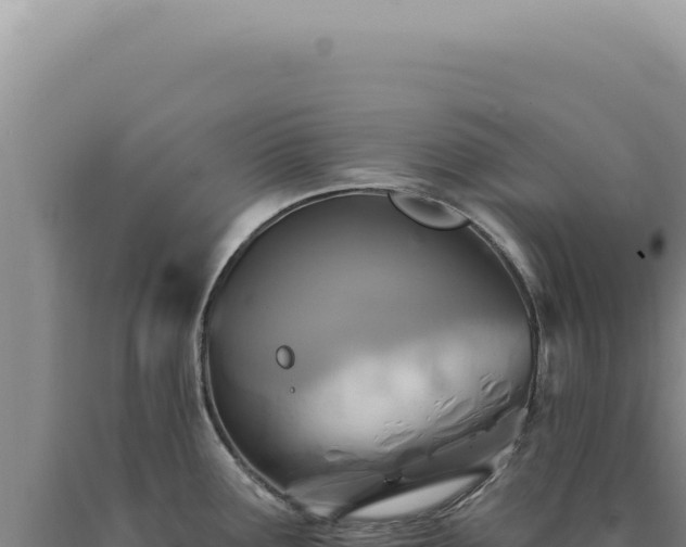 X0000090771291200707271519