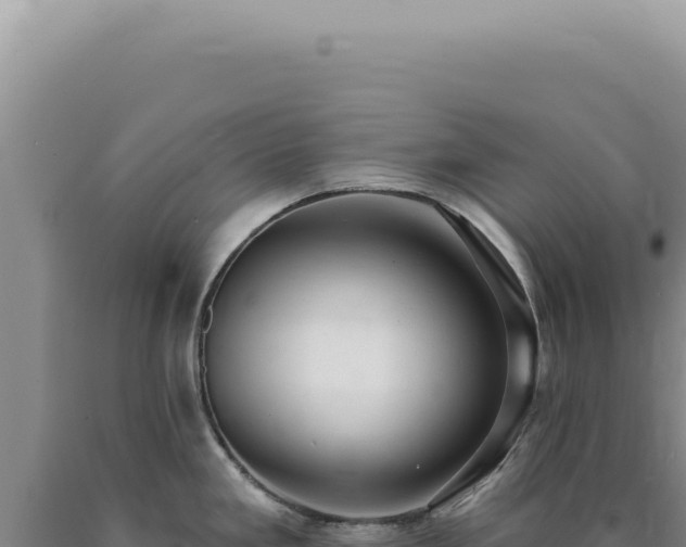 X0000090771293200707271519