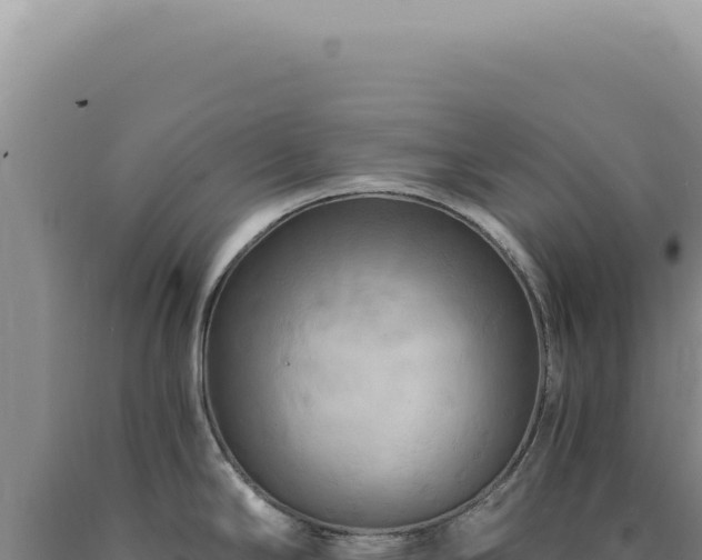 X0000090771294200707271519