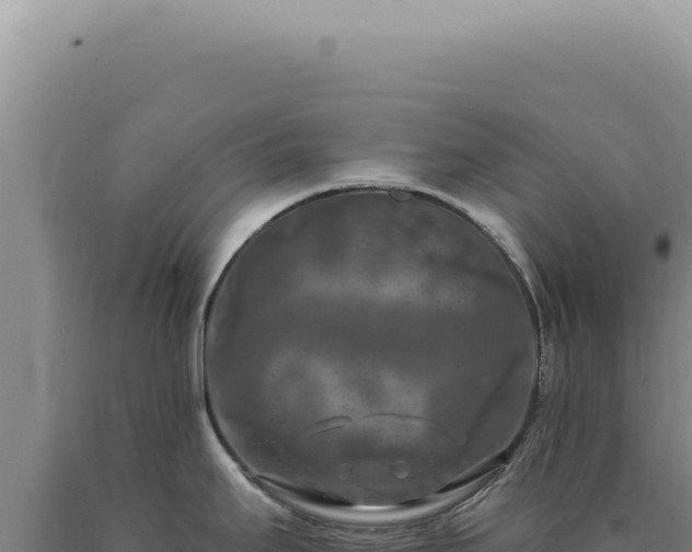 X0000090771295200707271519