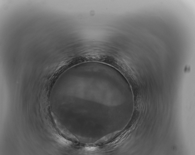 X0000090771297200707271518