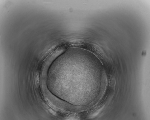 X0000090771298200707271518