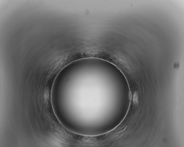 X0000090771299200707271518