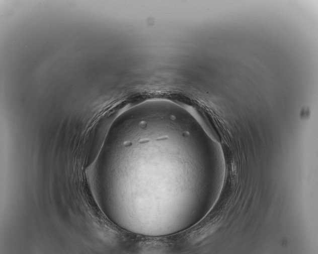 X0000090771300200707271518