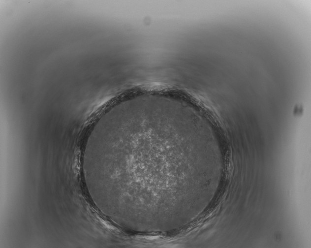 X0000090771301200707271518