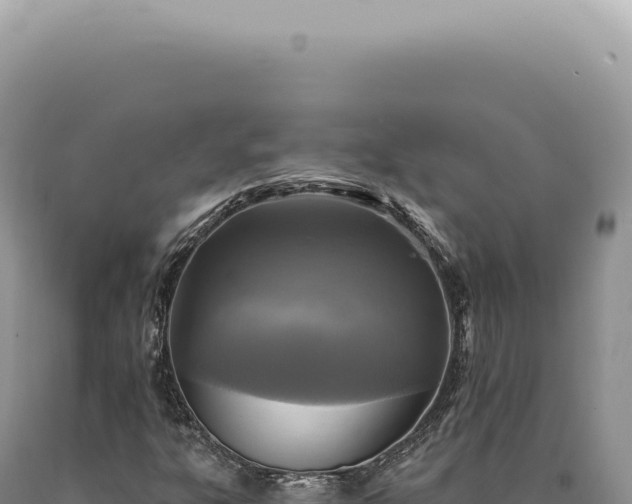 X0000090771303200707271518