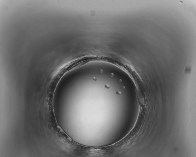 X0000090771304200707271518