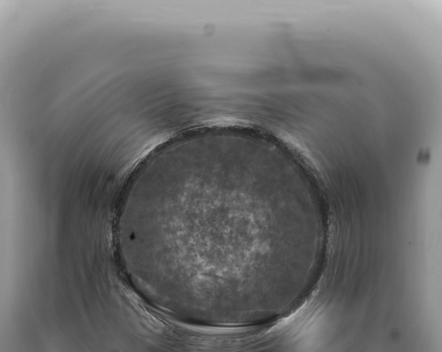 X0000090771305200707271519