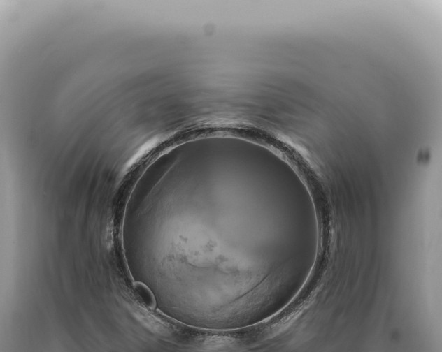 X0000090771306200707271519