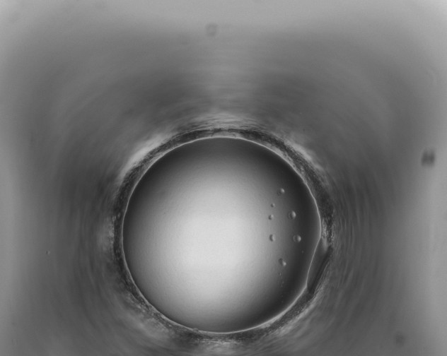 X0000090771309200707271519