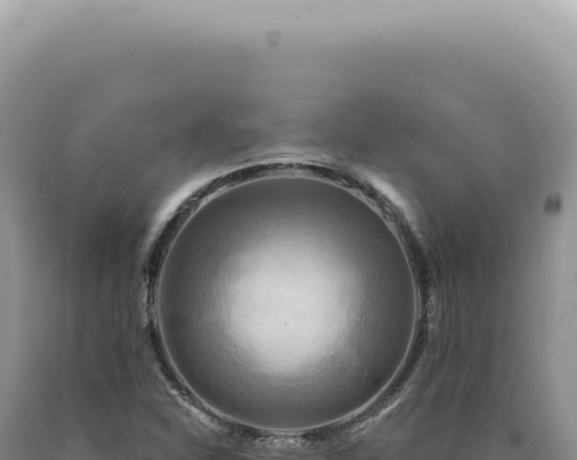 X0000090771310200707271519