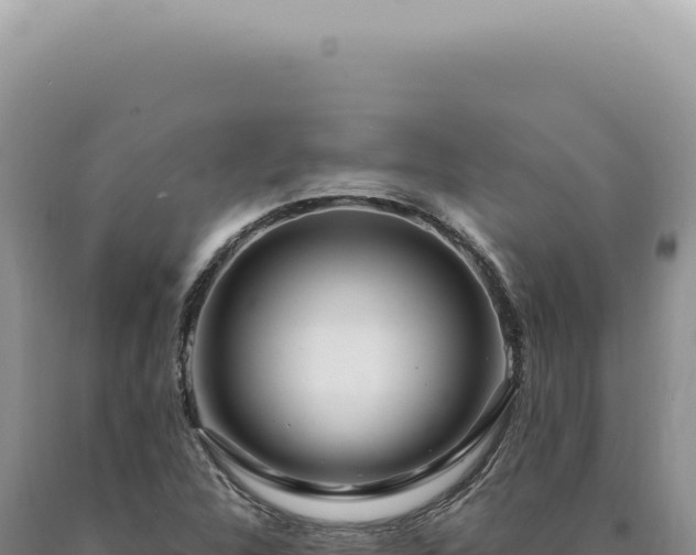 X0000090771312200707271519