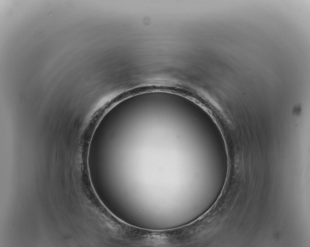 X0000090771315200707271519