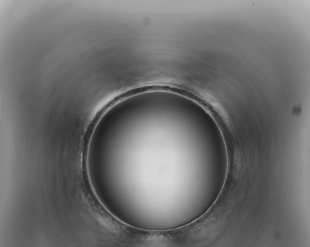 X0000090771316200707271519