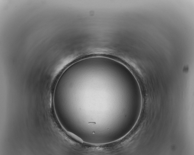X0000090771317200707271519