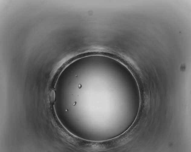 X0000090771318200707271519
