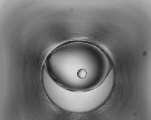X0000090771324200707271519