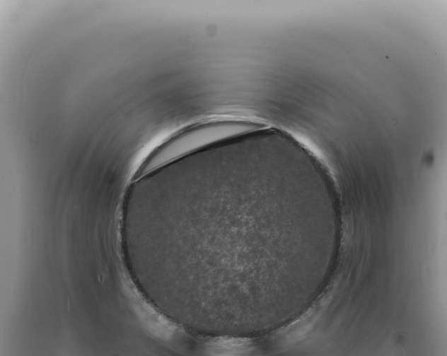 X0000090771325200707271519