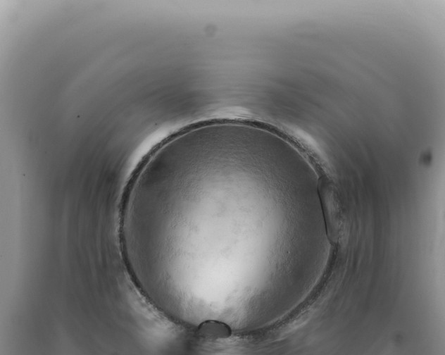 X0000090771326200707271519
