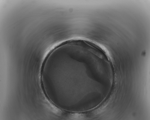 X0000090771327200707271519