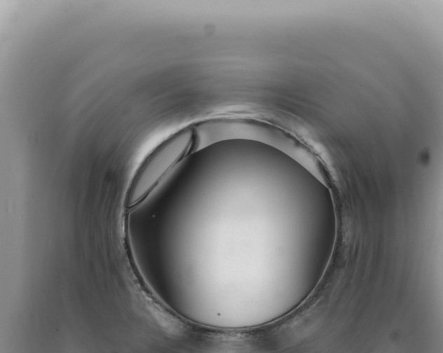 X0000090771328200707271519