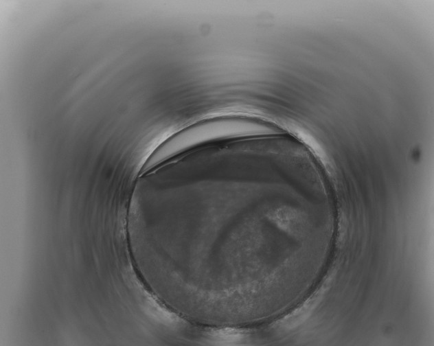 X0000090771329200707271519