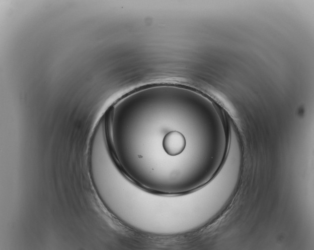 X0000090771332200707271519